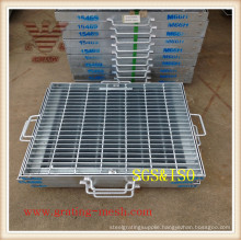 Steel Bar /Galvanized /Floor Bar Grating